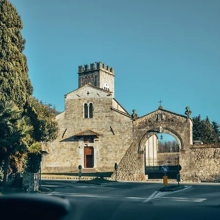 Ginepro Grillo - Happy