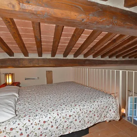 Ginepro Grillo - Happy Camaiore