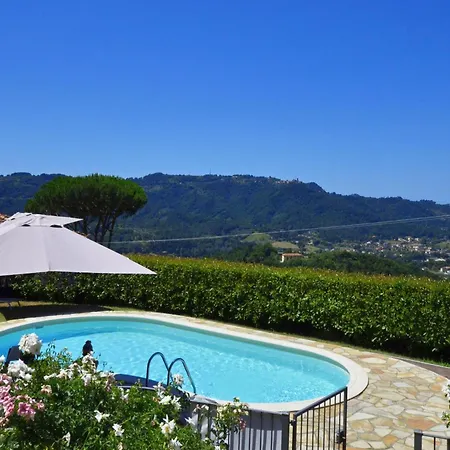 Ginepro Grillo - Happy * Camaiore