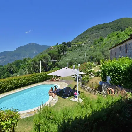 Ginepro Grillo - Happy