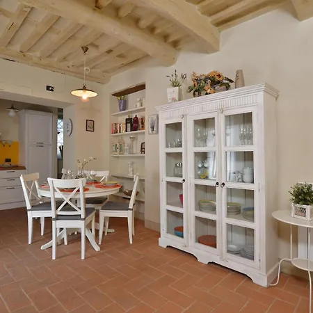 Ginepro Grillo - Happy * Camaiore