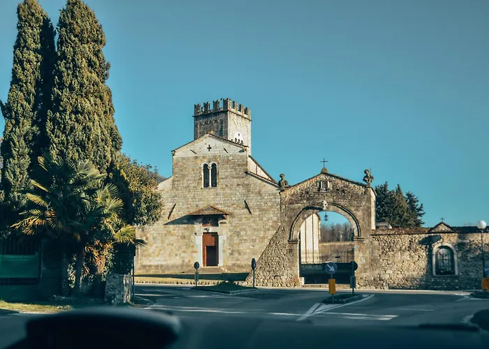 Ginepro Grillo - Happy