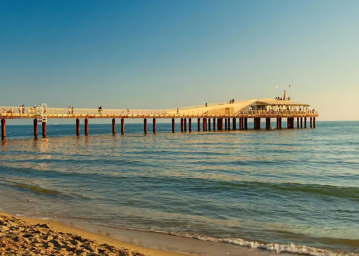 Ginepro Grillo - Happy Камайоре