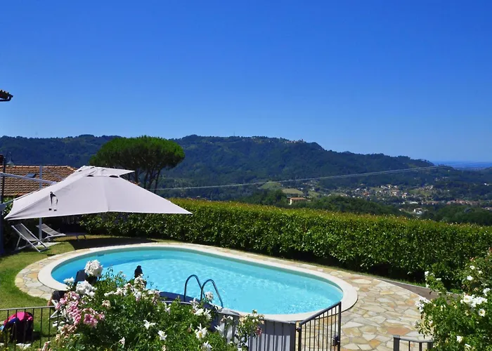 Ginepro Grillo - Happy * Камайоре